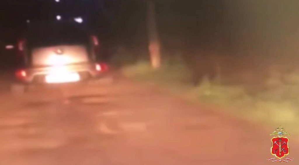Полиция устроила погоню за несовершеннолетним водителем в Сосновом Бору