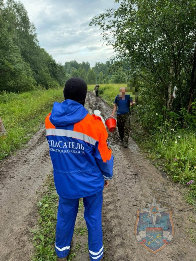 Спасатели вывели двух заблудившихся мужчин из леса близ деревни Красный Латыш
