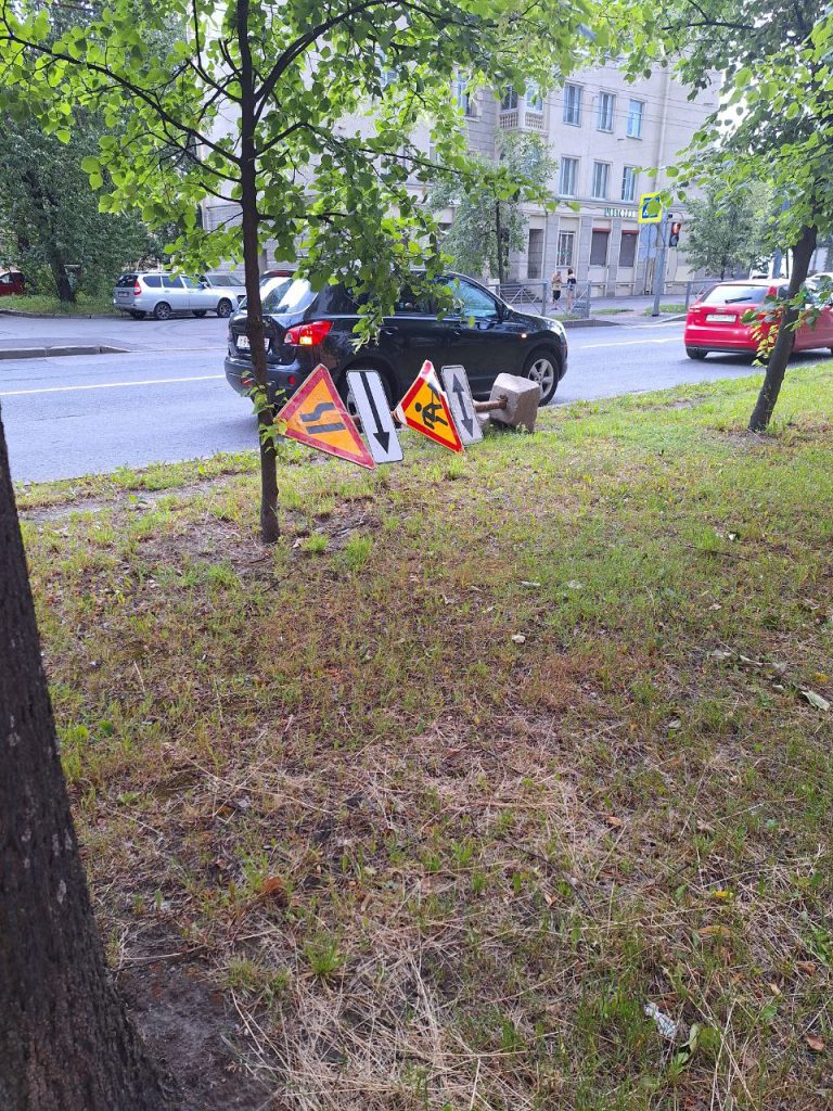 Петербуржцы пожаловались на лужи, мусор и упавшие деревья из-за ливня -  Новости Санкт-Петербурга