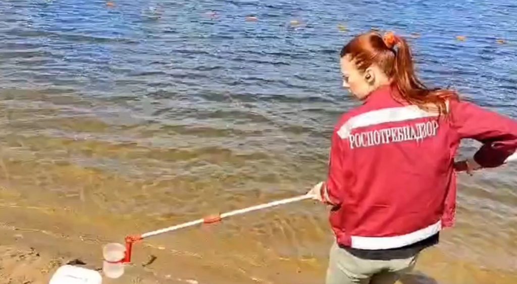 В Петербурге нашли лишь один пляж, где можно купаться без вреда для здоровья