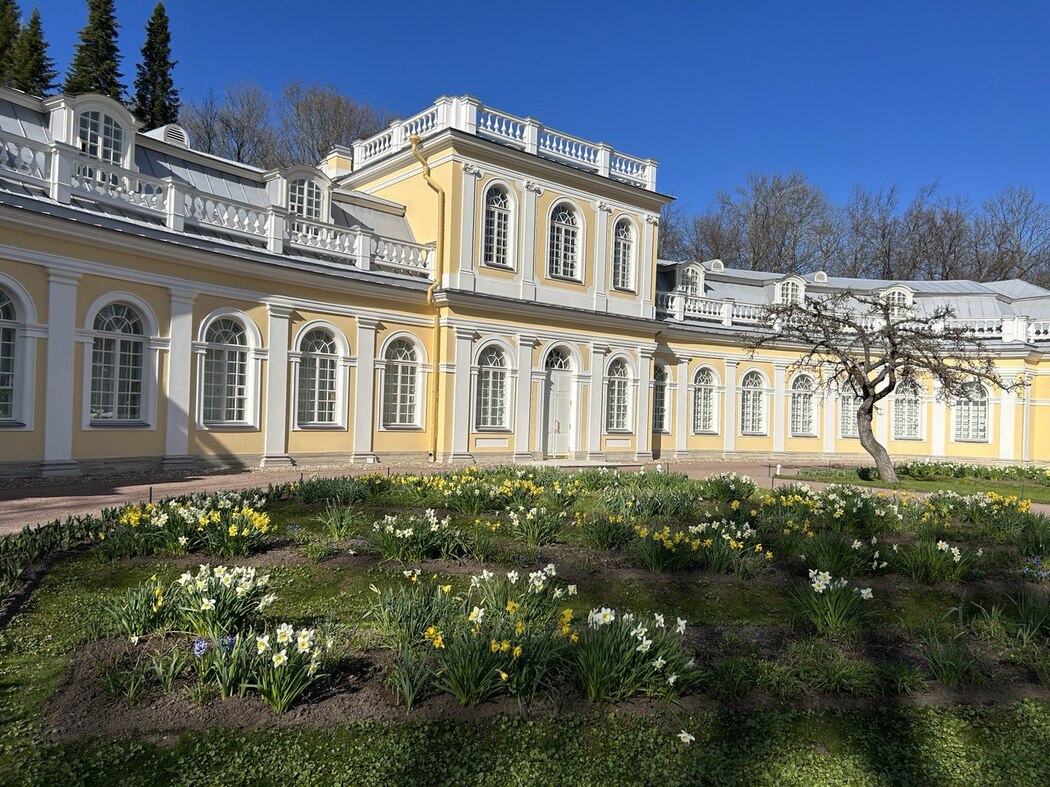 158065_Елена_Еликова