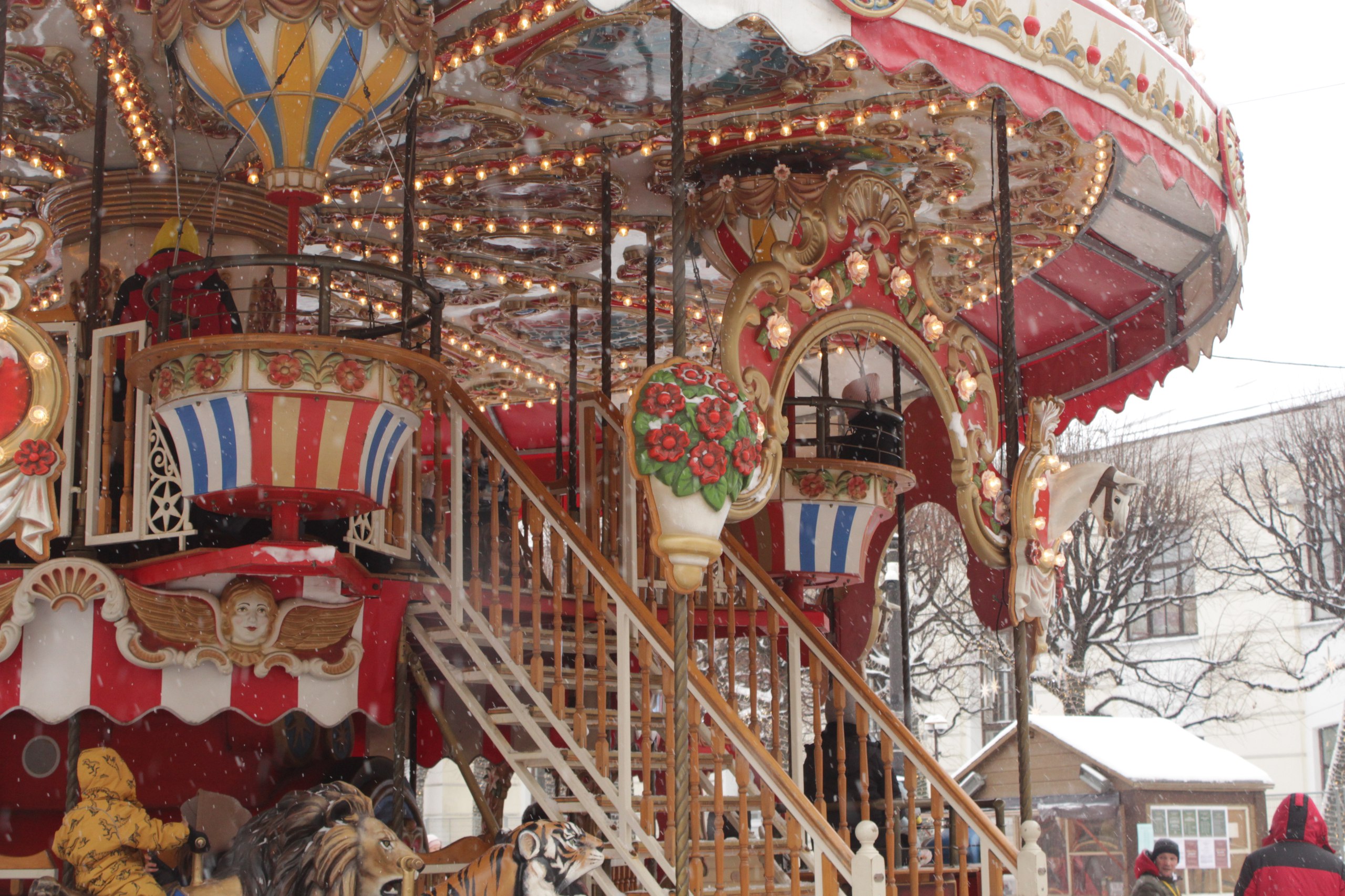 photo_2024-11-19_13-53-58