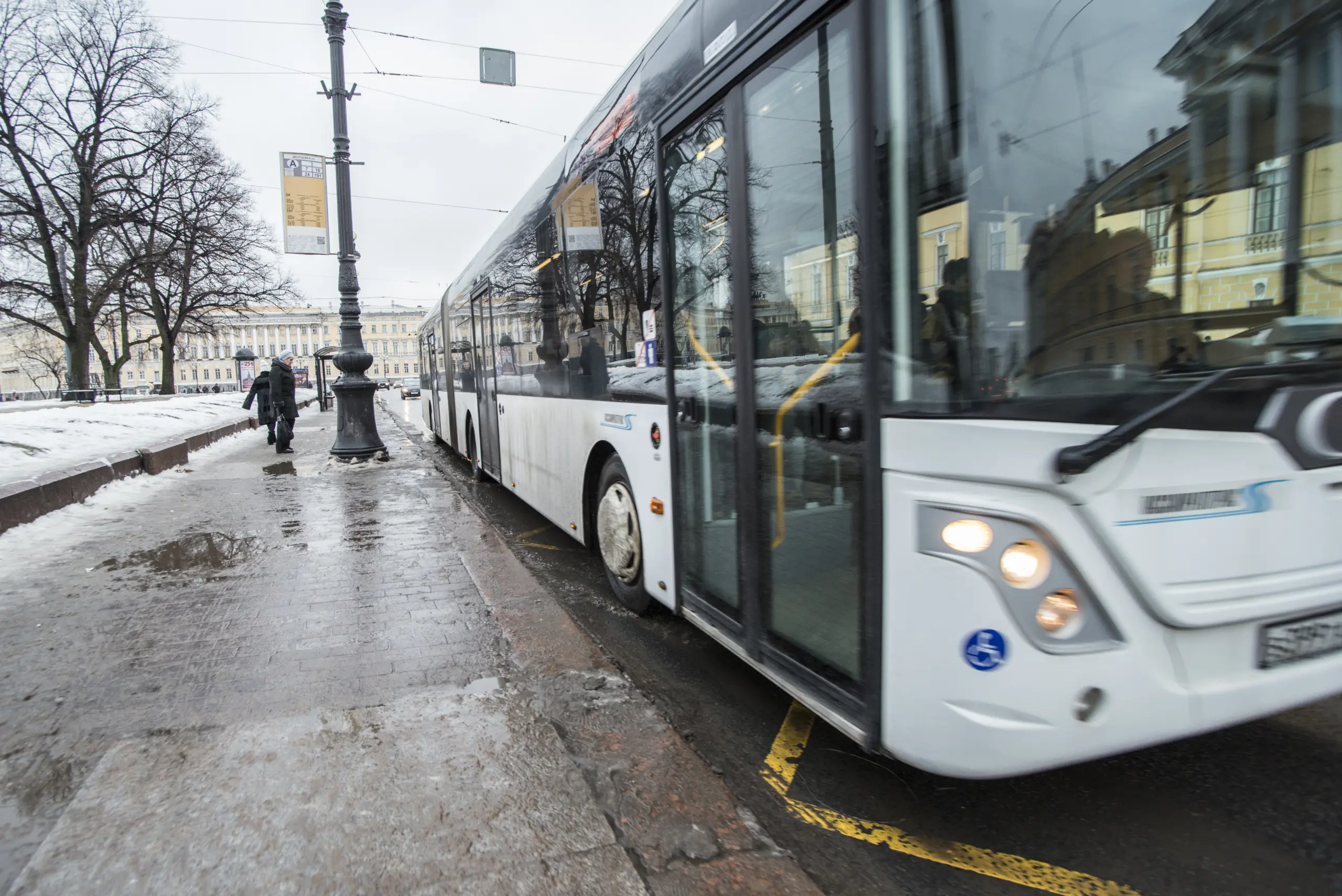 Проезд В Питере Цена 2025