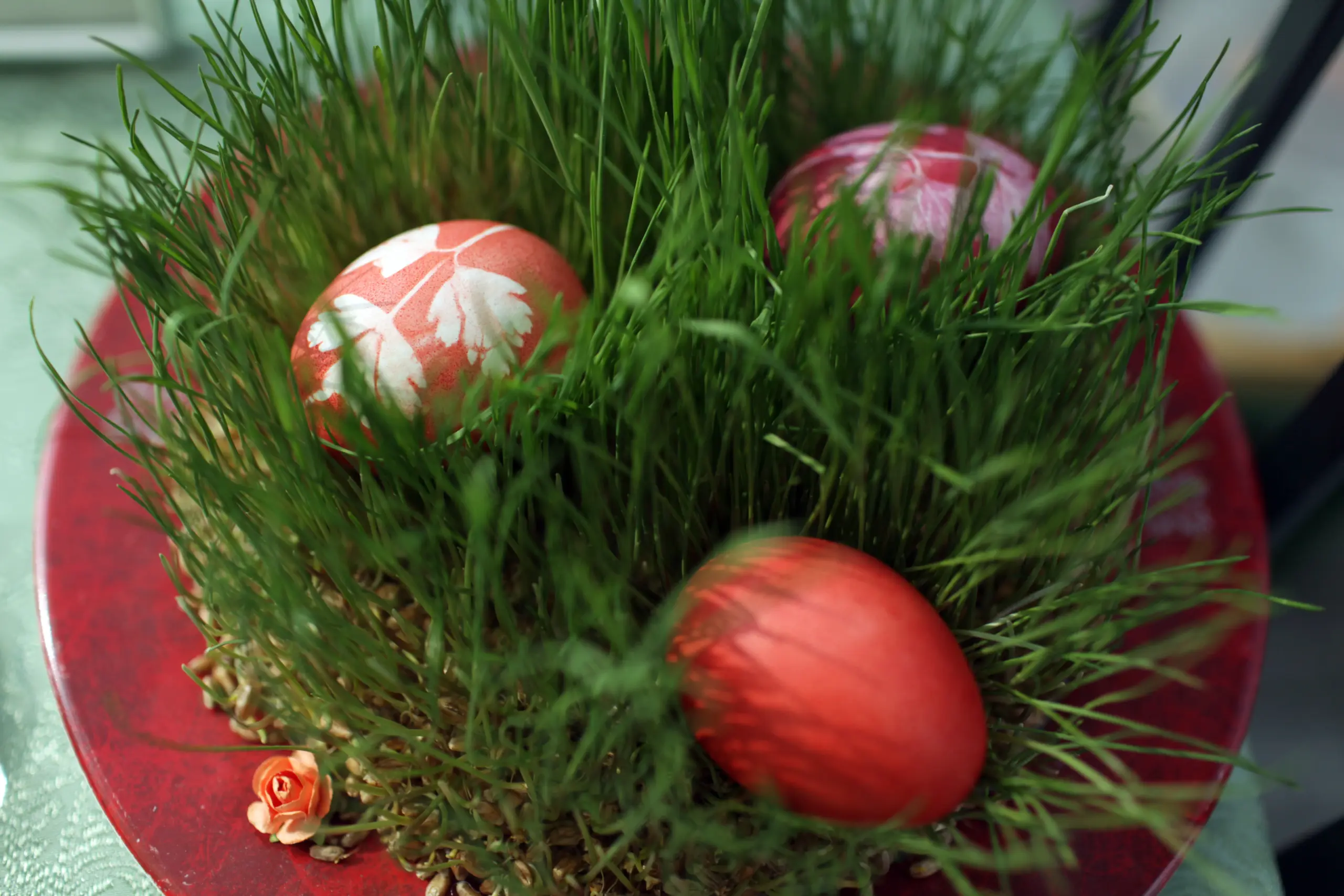 Россиянам рассказали о традиции красить яйца на Пасху