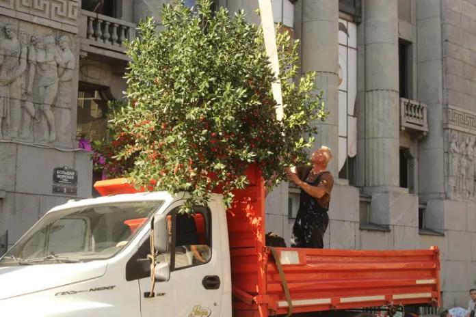 160901_Надежда_Цветкова