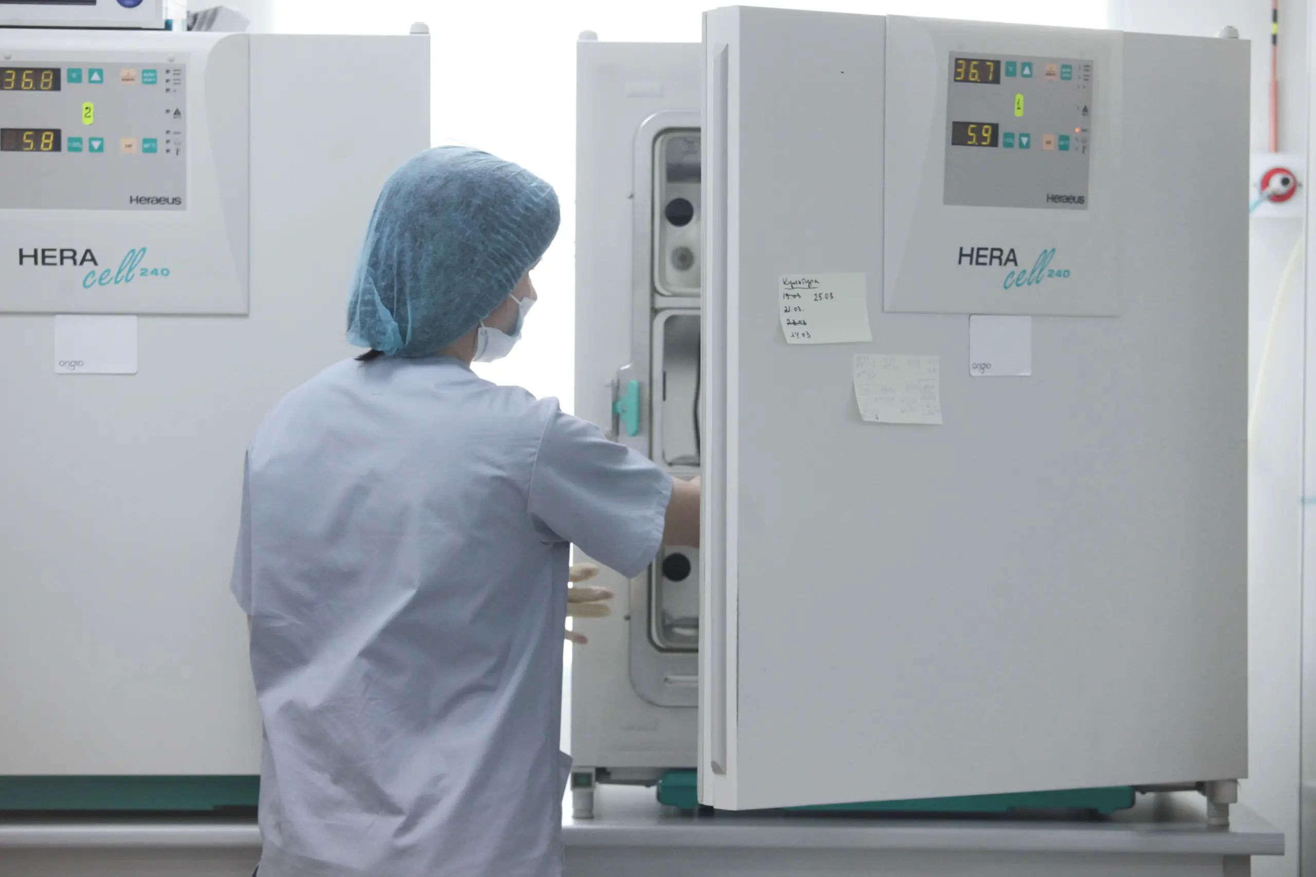 Ученые нашли способ сделать хлеб полезнее с помощью кожуры грейпфрута