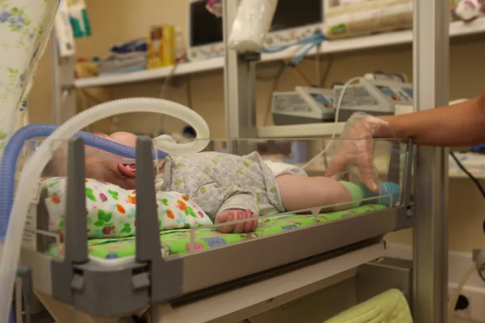 4703_Baltphoto_Ирина_Мотина