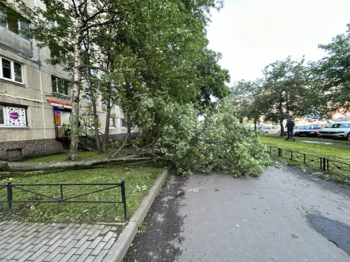 photo_2025-06-20_10-14-51