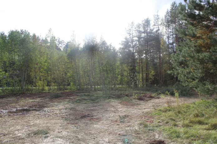 153129_Надежда_Цветкова