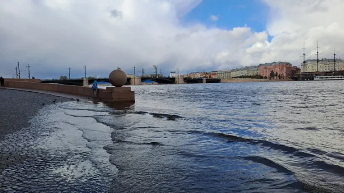 153720_Надежда_Цветкова (1)