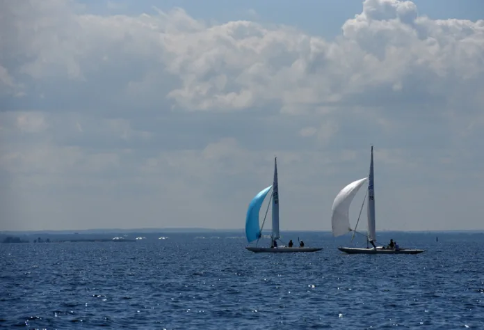 79481_Andrey_Pronin (1)