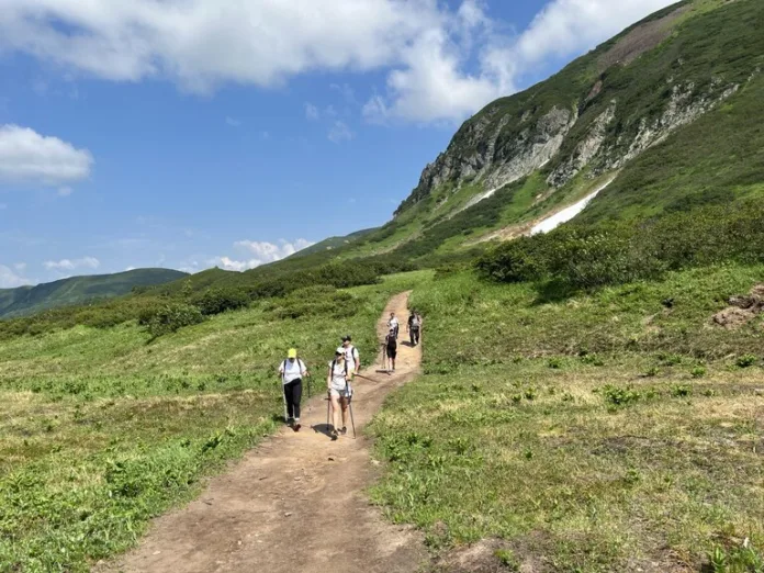 156475_Дарья_Брагина (1)