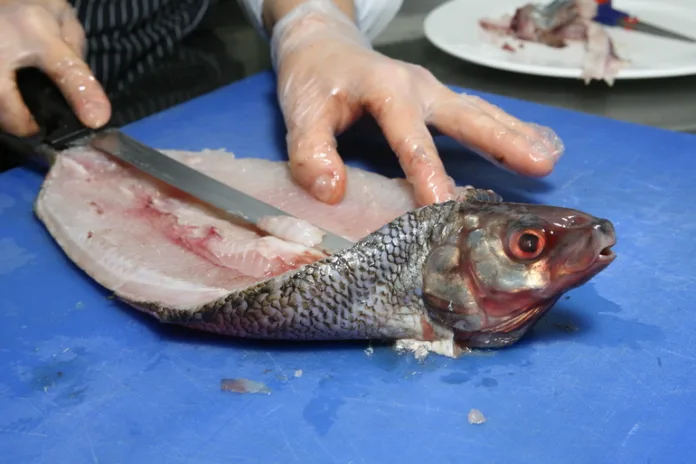 22640_Baltphoto_Рафаэль_Карапетян