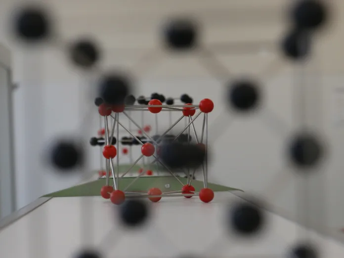 150010_BaltphotoВероника_Овсянникова (1)