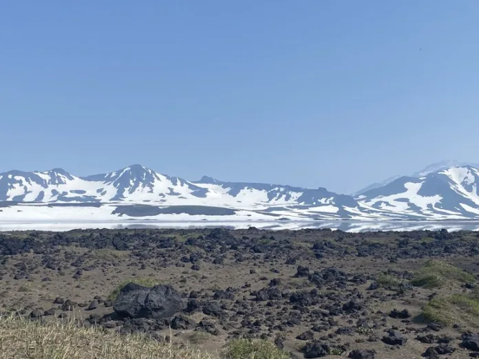 156490_Дарья_Брагина