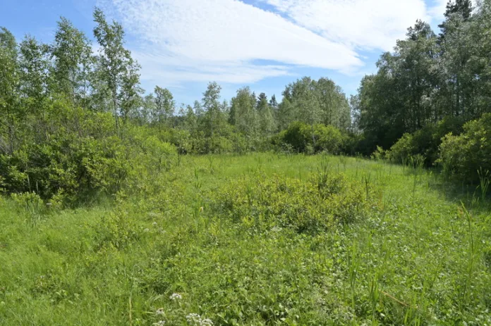 159605_Алексей_Орлов