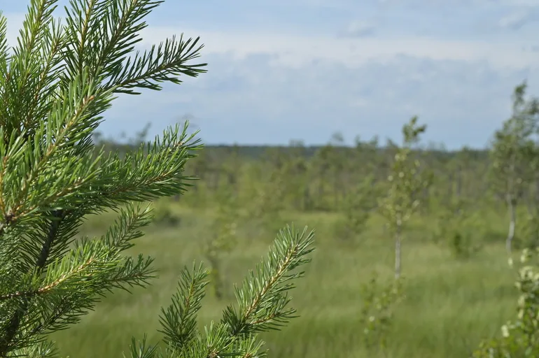 Климатологи предупредили о риске необратимых изменений планетарного масштаба