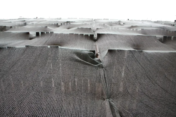 83402_Мойка78Николай_Овсянников