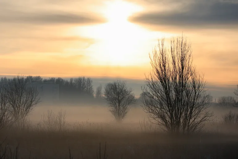 Депутаты предлагают изменить порядок оформления земли для многодетных