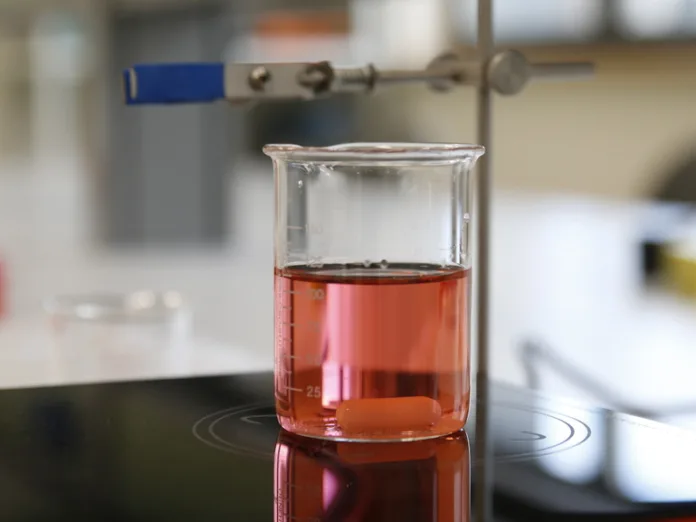 150003_BaltphotoВероника_Овсянникова (4)