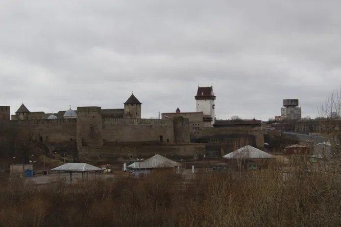 157669_Надежда_Цветкова