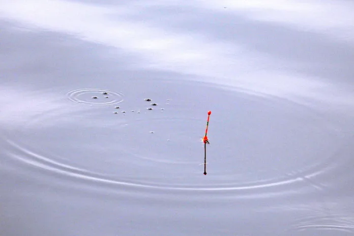 17272_Baltphoto_Елена_Яковлева (1)