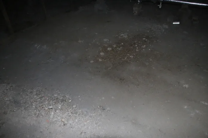 85429_Мойка78Николай_Овсянников