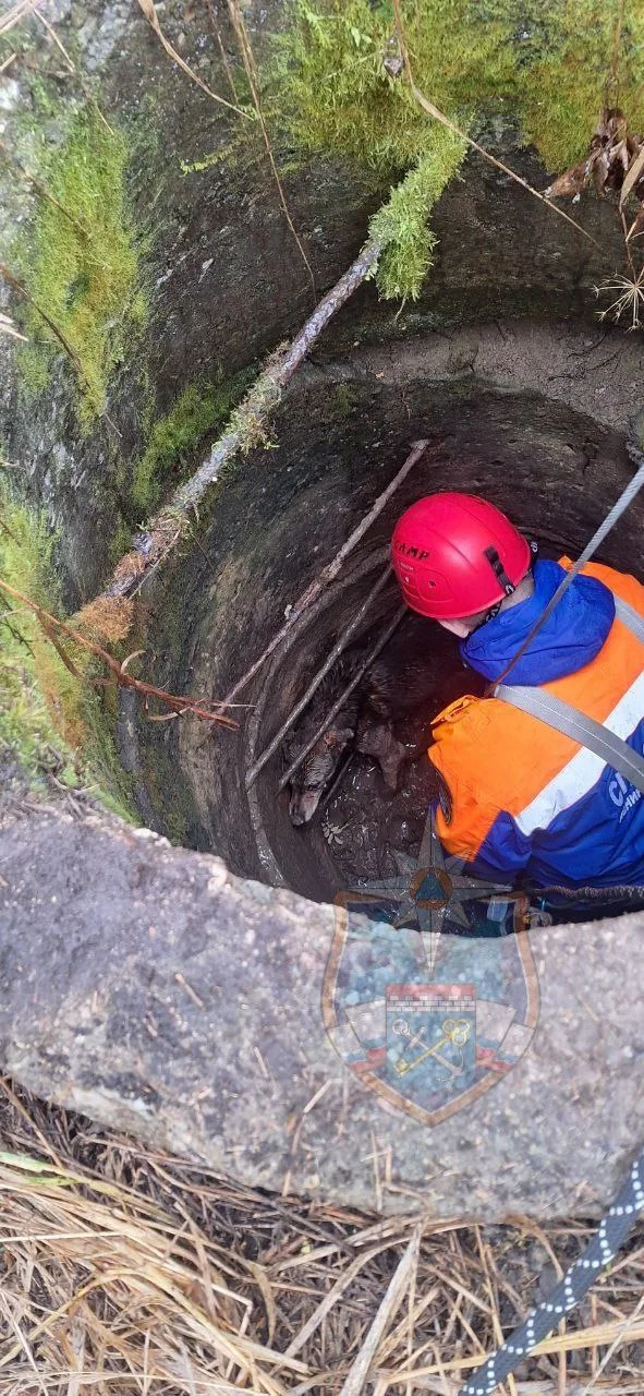 photo_2025-11-03_11-57-11