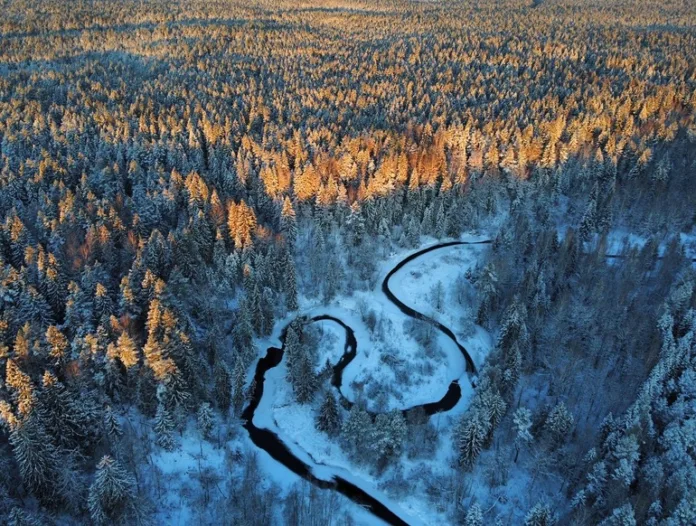 108358_Мойка78Валентин_Егоршин