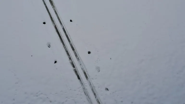 Где найти настоящую зиму, пока в Петербурге нет снега