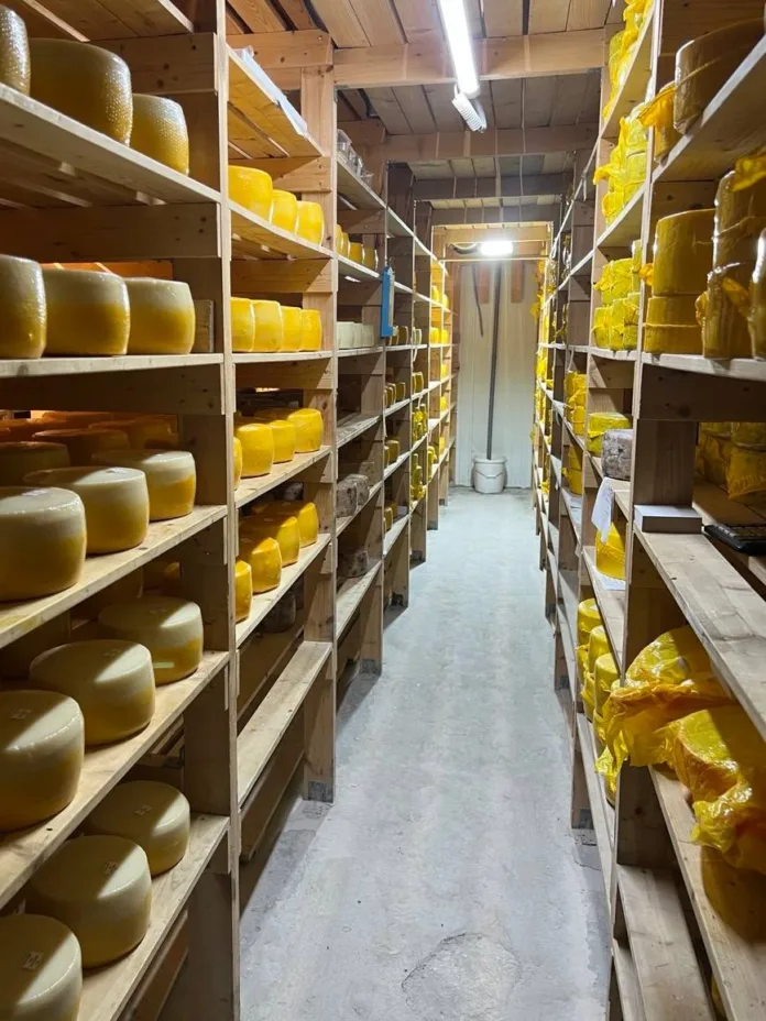 photo_2025-12-10_08-54-25