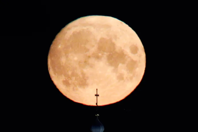 103655_BaltphotoВалентин_Егоршин (3)