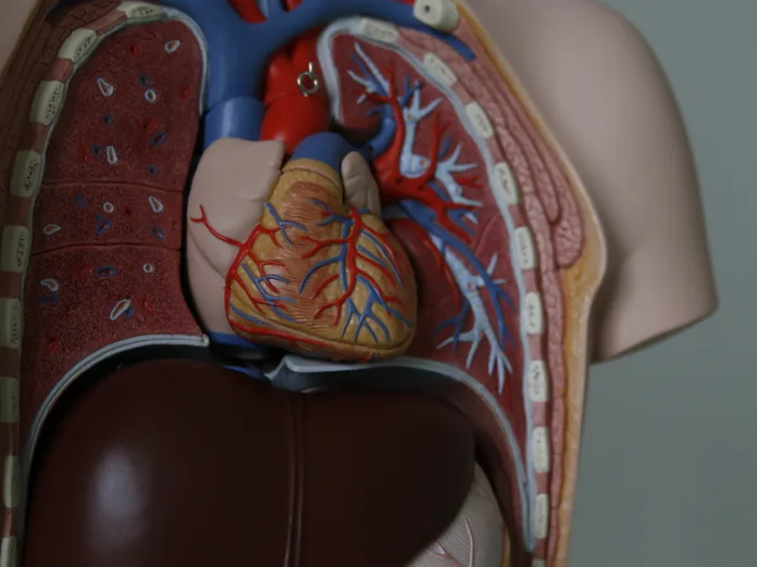 150000_BaltphotoВероника_Овсянникова (1)