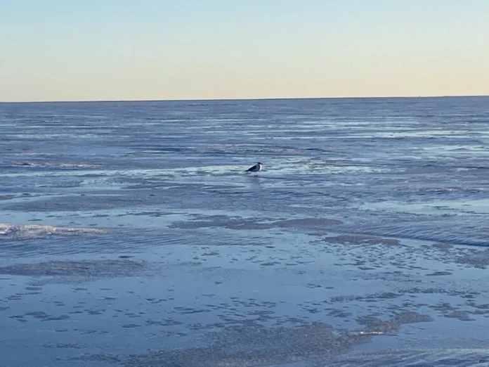 156826_Baltphoto (3)