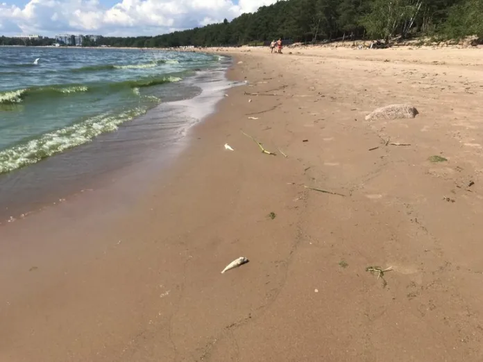 159888_Baltphoto (1)