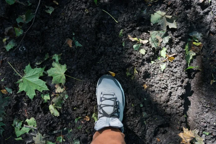 92288_Gazeta.SPbНиколай_Овсянников