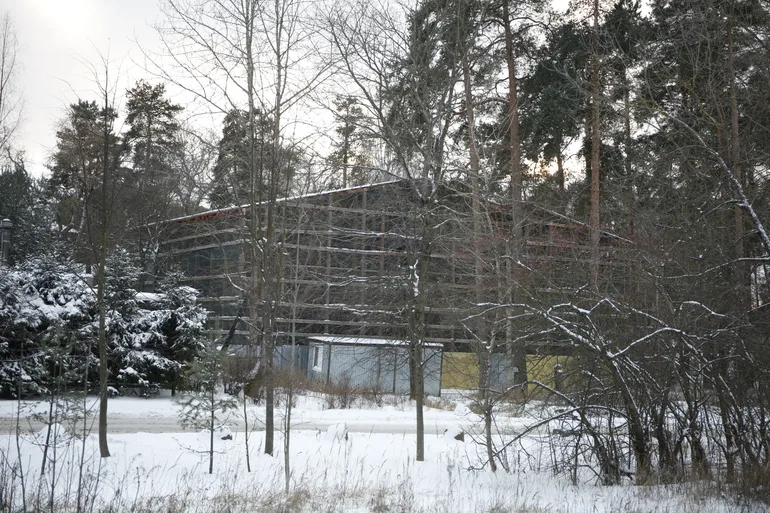 Испанские слизни смогли привыкнуть к российским морозам