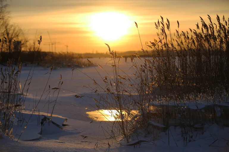 Впервые за два года активность Солнца упала до нуля