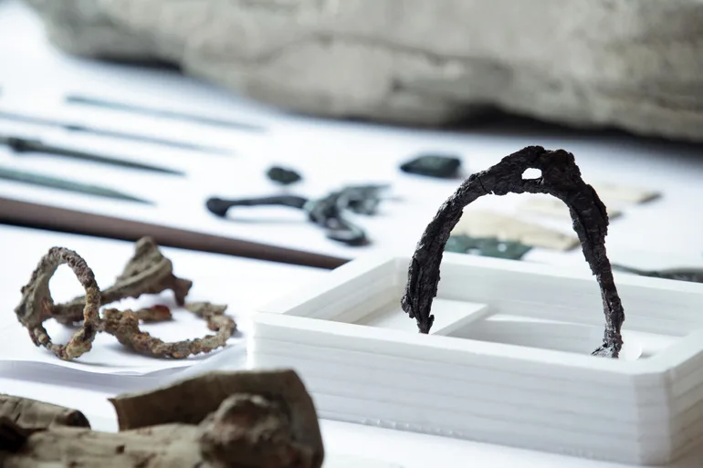 Ученые раскрыли секрет речи древнего человека