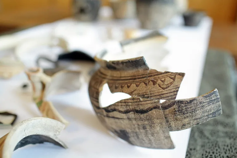 Ученые раскрыли секрет речи древнего человека