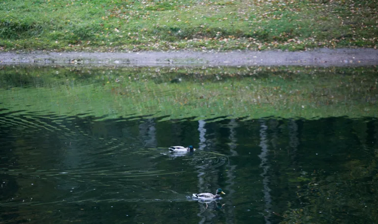 Долина оказалась в центре нового уголовного дела после скандала с квартирой