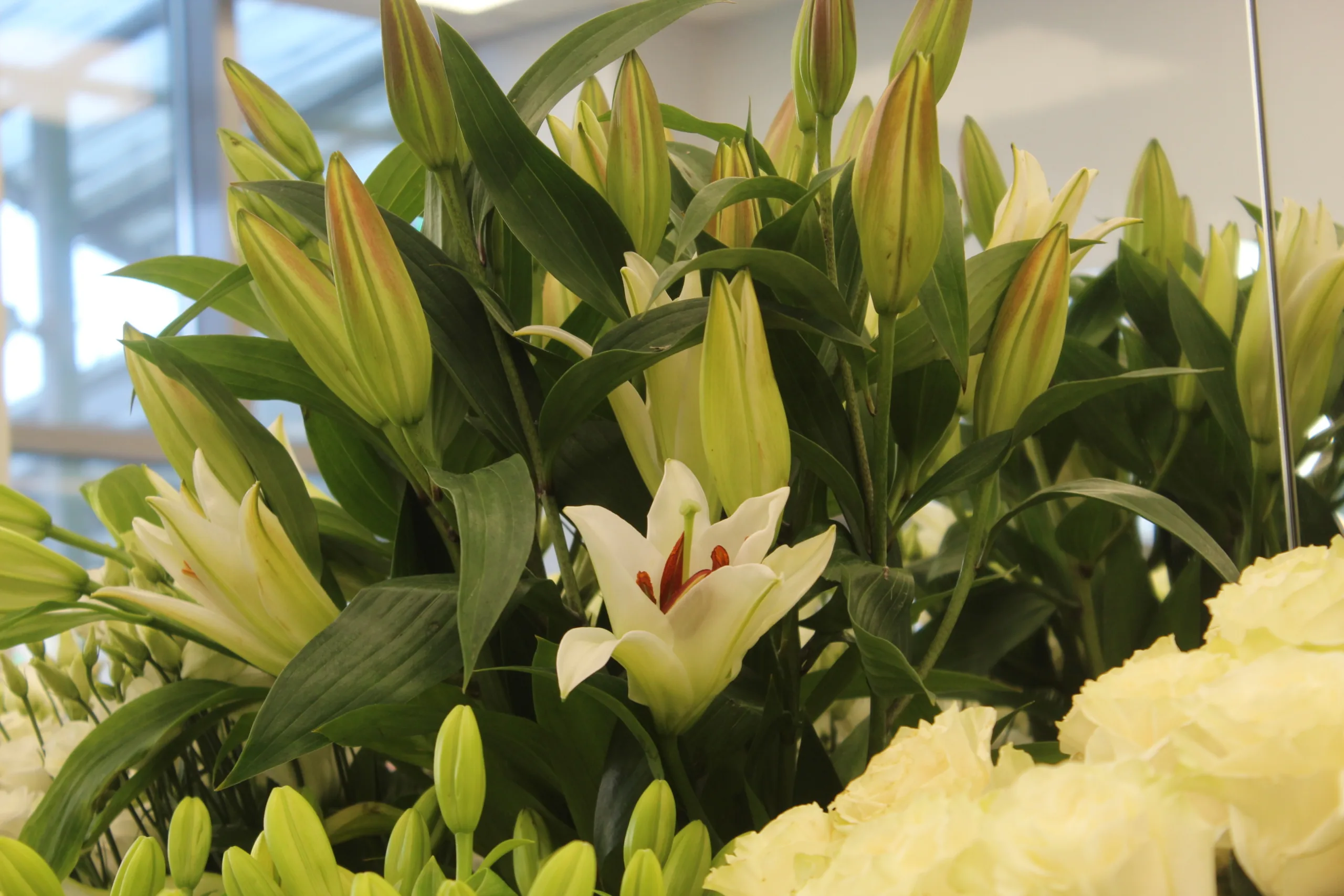 Почему Международный женский день потерял политический подтекст