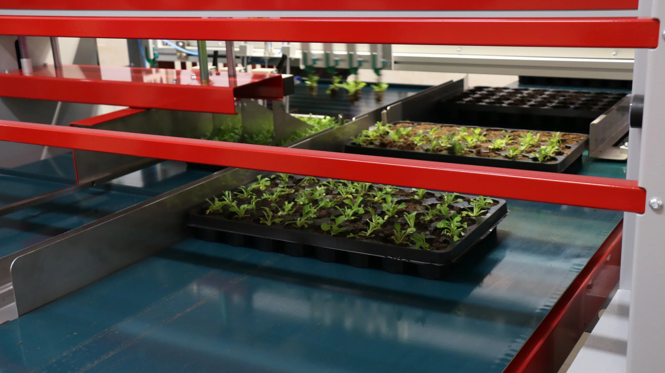 Технологические гиганты при помощи ИИ заставляют фермеров сажать кукурузу