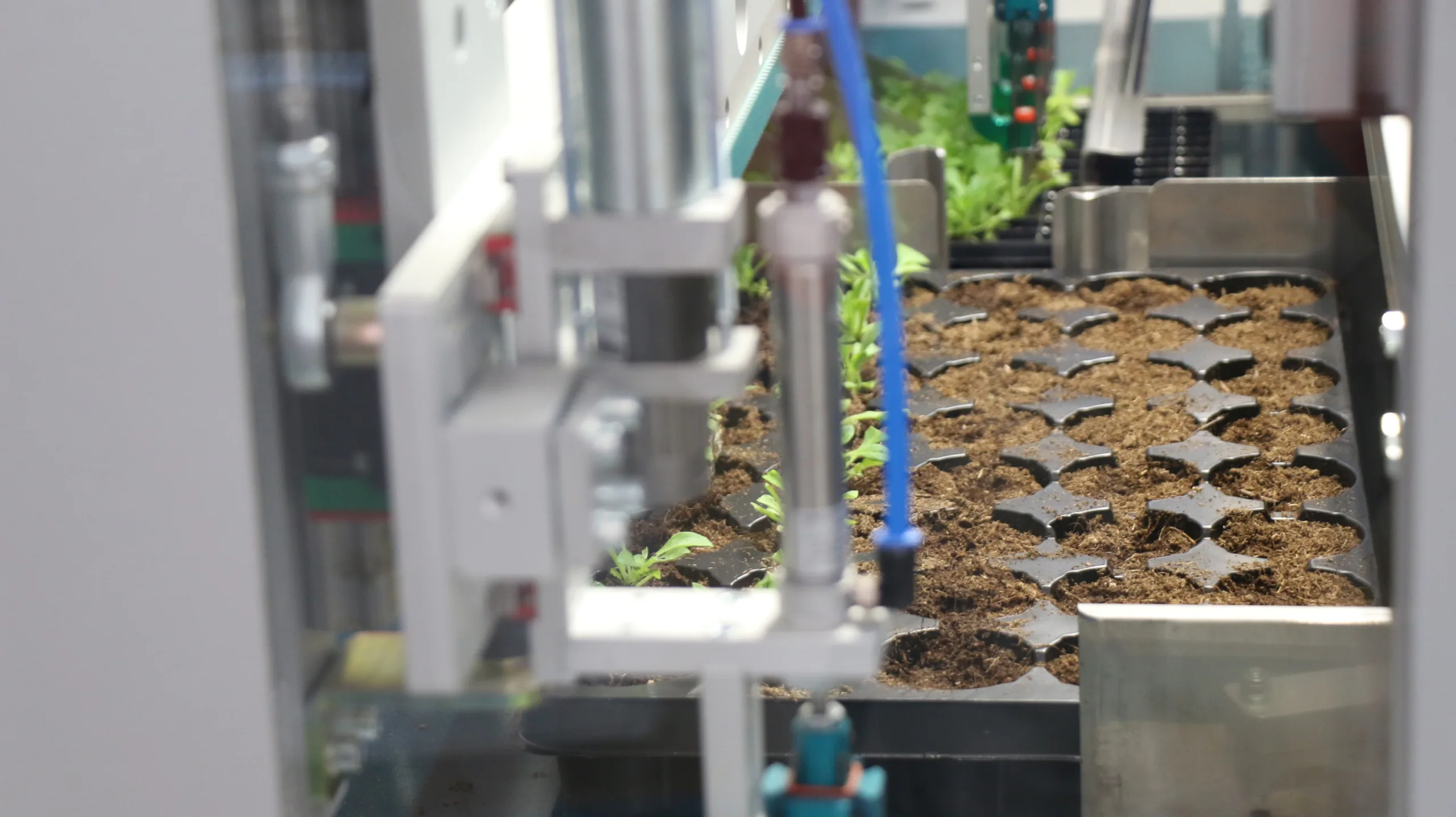 Технологические гиганты при помощи ИИ заставляют фермеров сажать кукурузу