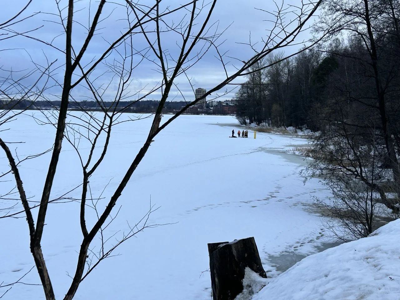 Петербуржцы сообщают о трупе на Суздальском озере