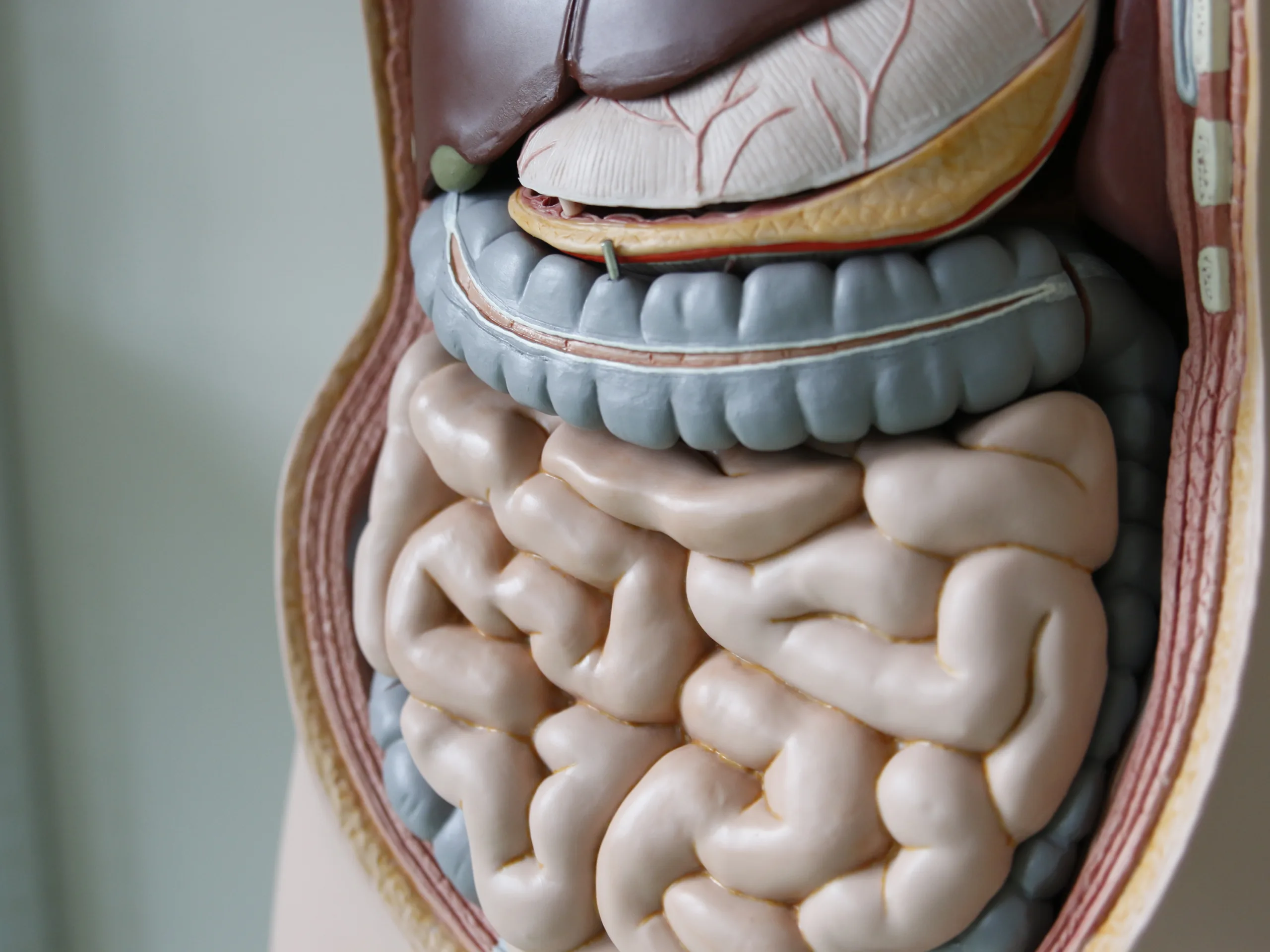 Российские ученые создали «умную» доставку лекарств в организм