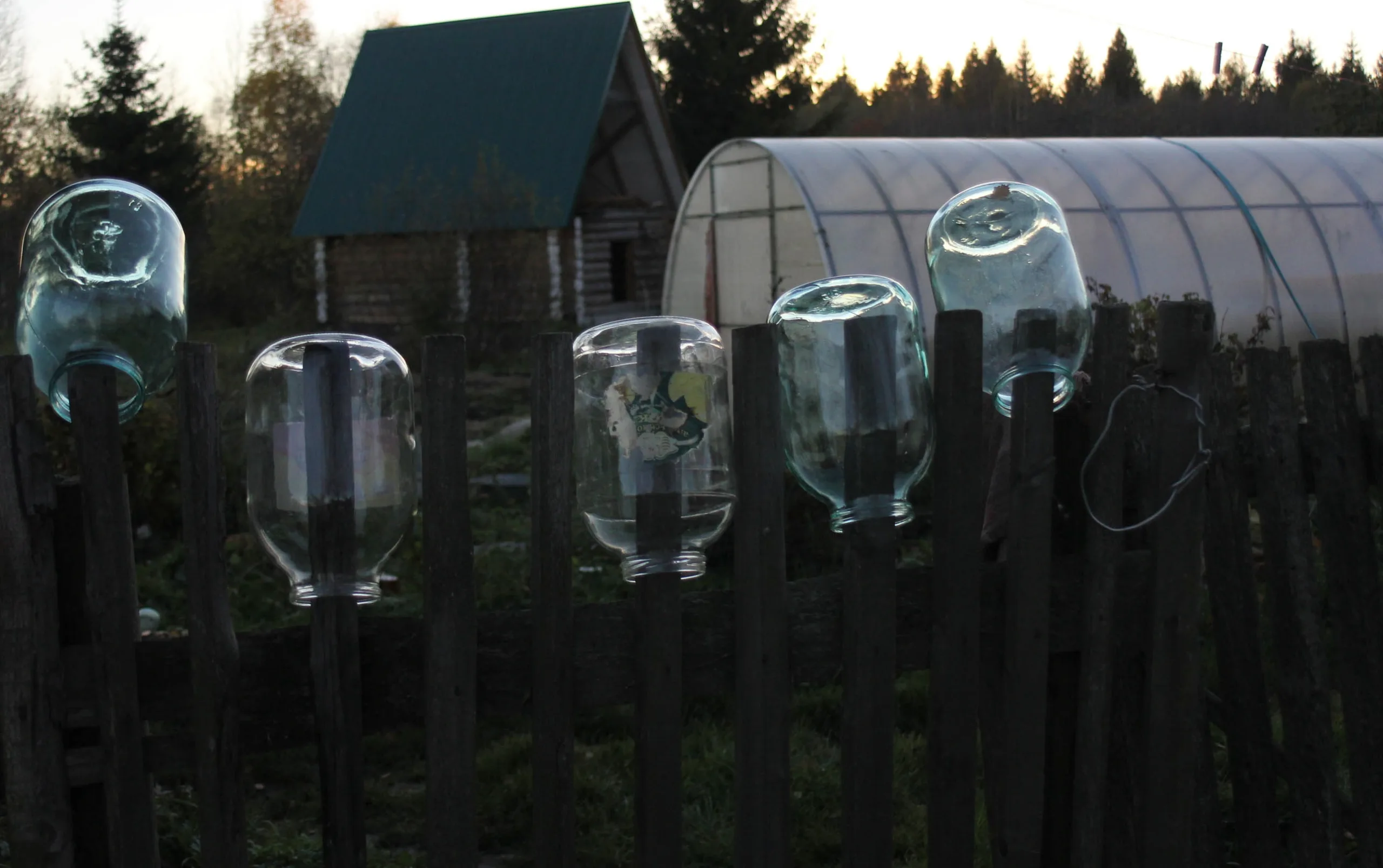 Какие новые штрафы ждут дачников в 2026 году