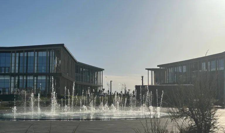 Свыше 70 фильмов, трибьют «Брату» и киносеансы покажут на фестивале в Крыму