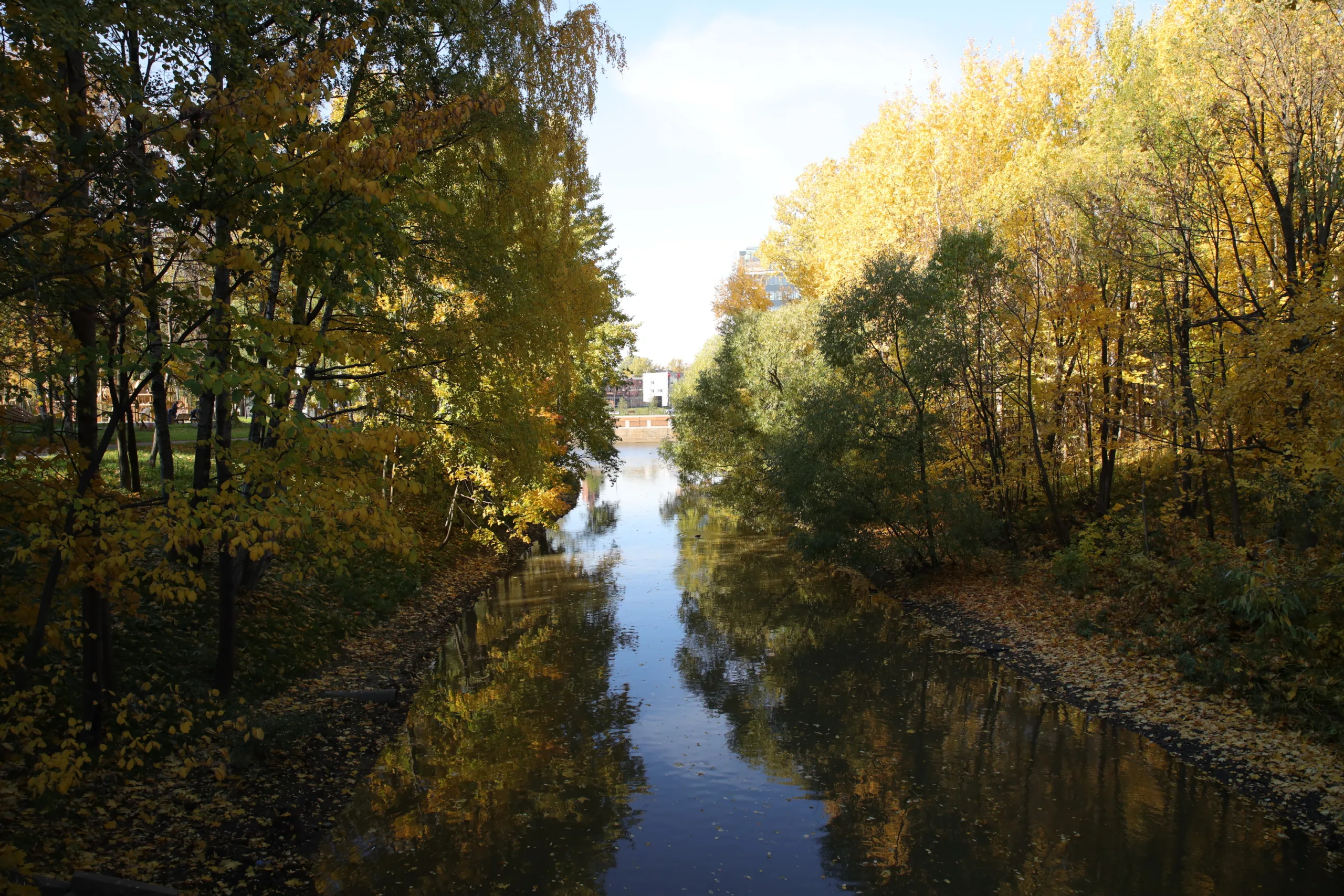 Грязный воздух и вода: возможно ли вытащить Петербург из экологической ямы?