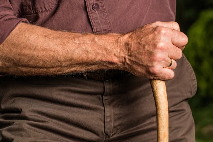 hand-man-person-wood-male-leg-765590-pxhere.com пресс-служба Сбера